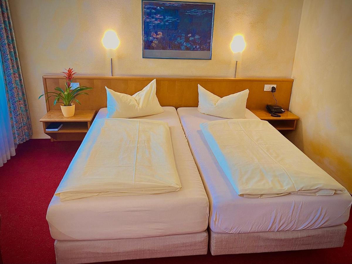 Meister Baer Hotel Ostbayern Floß エクステリア 写真